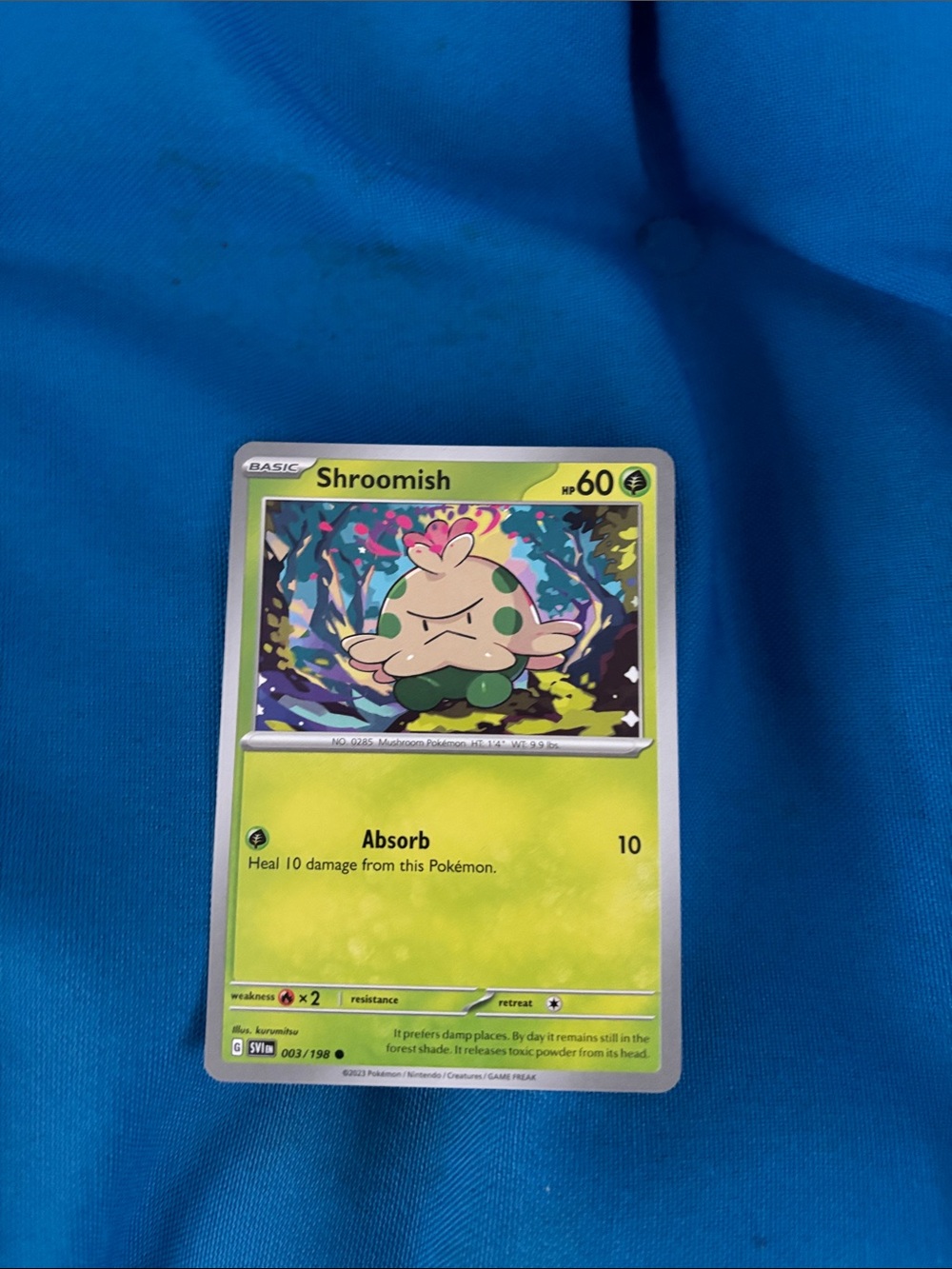 Pokémon Cards Shroomish HP 60 2023 Grass Type Pokemon NWOTS